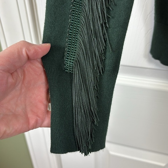 Ted Baker Aniebal dark green fringe sweater sz sm - Picture 7 of 10
